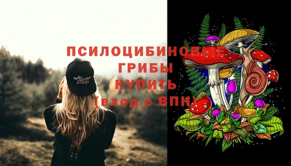 скорость Алексеевка