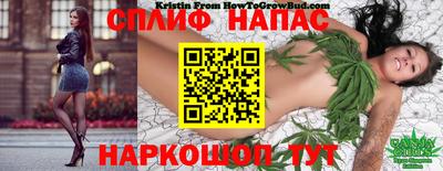 ECSTASY Краснодар