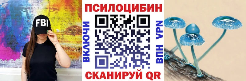 Псилоцибиновые грибы Psilocybe где можно купить наркотик Изобильный